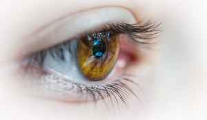 Macular Degeneration